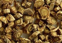 种防风根腐病的防治