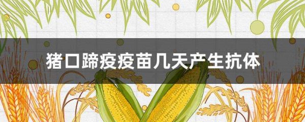 猪口蹄疫疫苗几天产生抗体