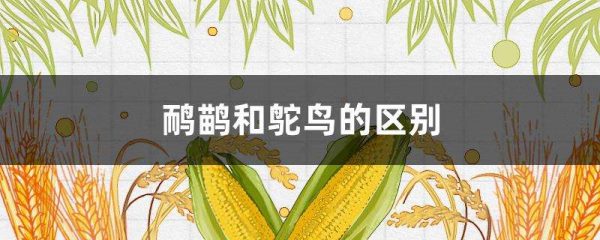 鸸鹋和鸵鸟的区别？