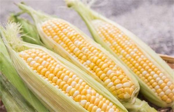 干旱地区适合种植什么？