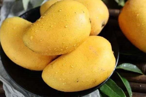 芒果如何保存