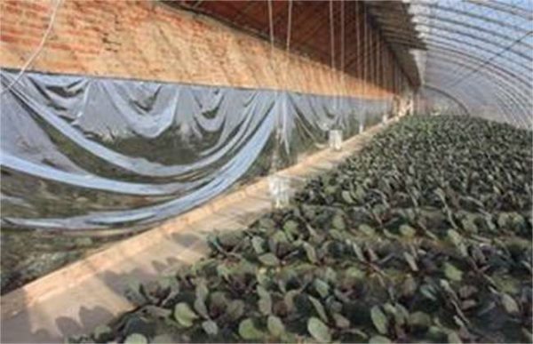 冬季使用反光幕要注意些什么？