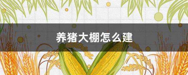 养猪大棚怎么建