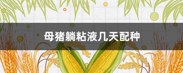 母猪躺粘液几天配种