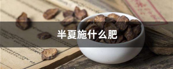 半夏施什么肥