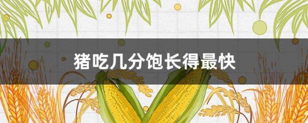 猪吃几分饱长得最快