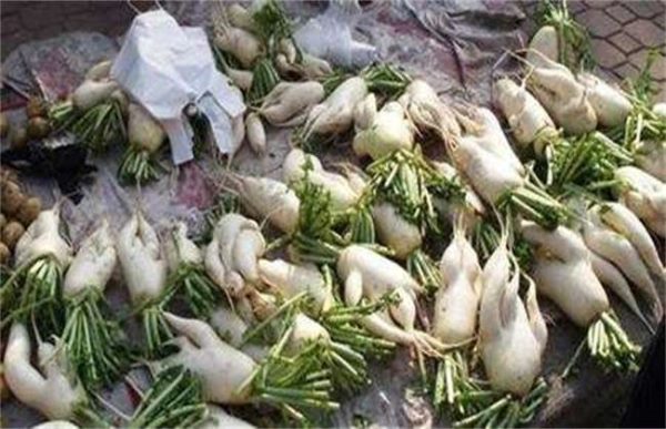 萝卜生长异常情况防治