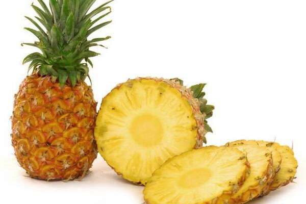 盆栽菠萝冬天怎样防冻