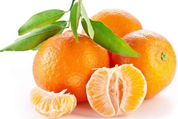 盆栽年桔的种植方法和管理