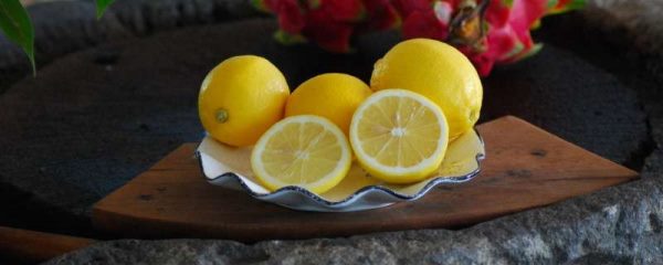 盆栽柠檬怎样过冬