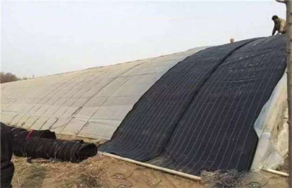 冬季温室大棚低温寡照怎么办？