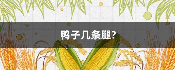 鸭子几条腿？