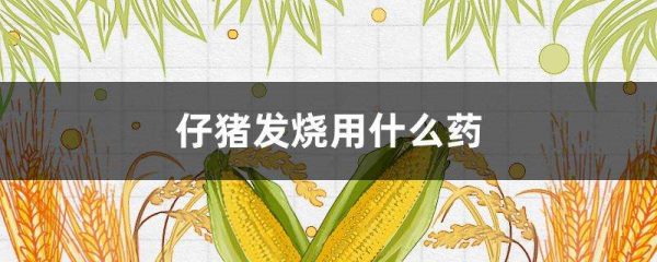 仔猪发烧用什么药