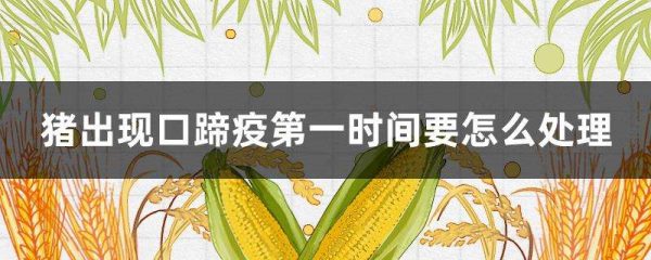 猪出现口蹄疫第一时间要怎么多久？