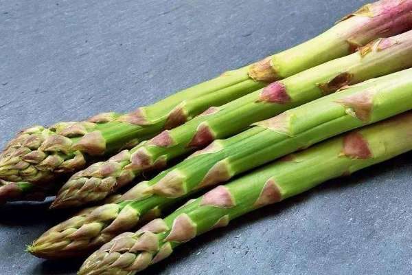 水培芦笋的养殖方法和注意事项