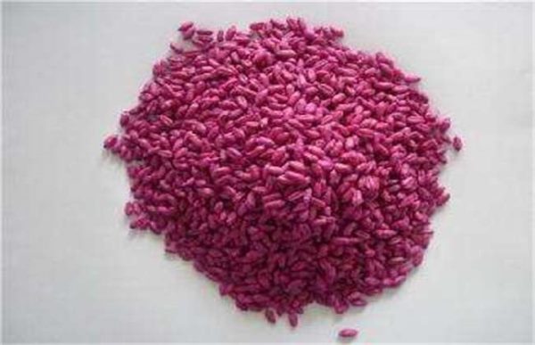 小麦拌种注意事项