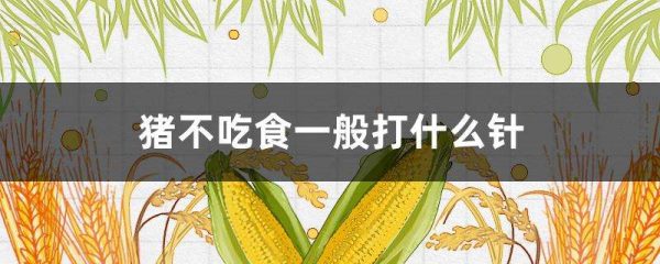 猪不吃食一般打什么针