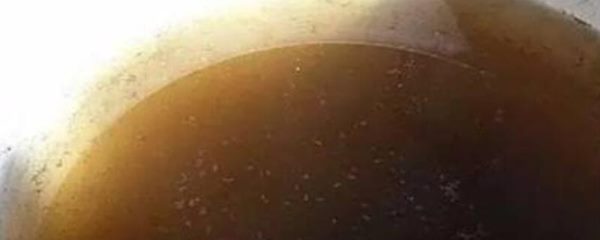 制作矾肥水的简单方法