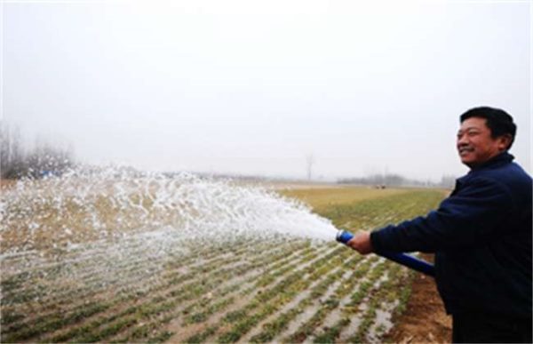 小麦浇灌返青水后发黄怎么办？