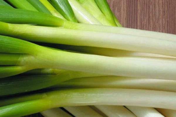 什么是葱白