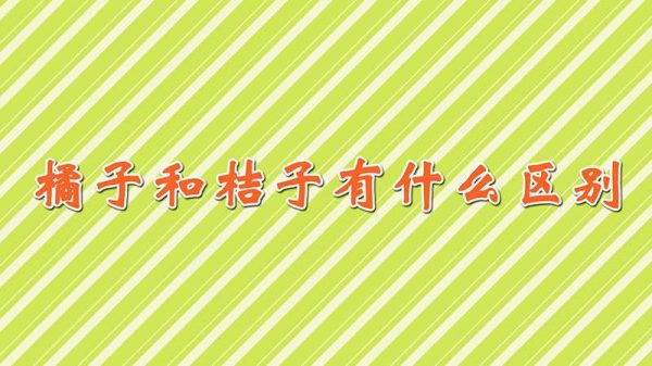 橘子和桔子有什么区别