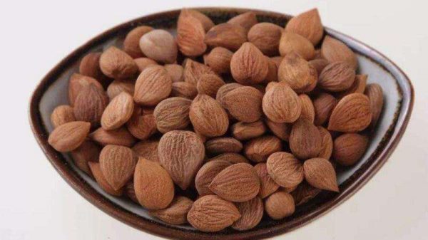 苦杏仁有毒吗？