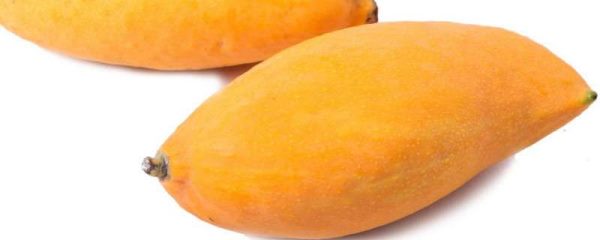 冬季芒果怎么催熟