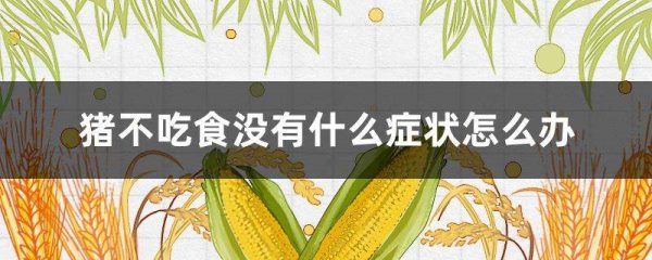 猪不吃食没有什么症状怎么办？