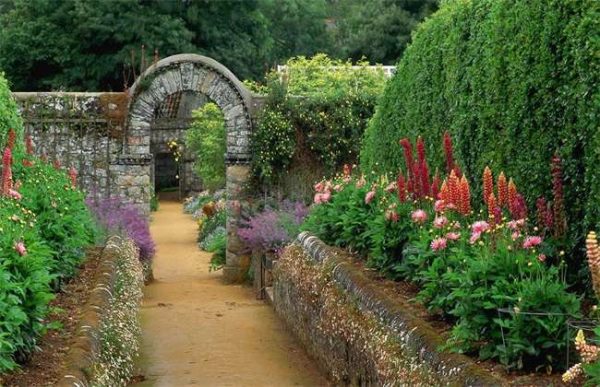 农村哪些是禁养区