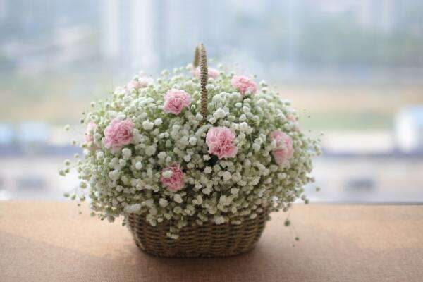 满天星送恋人可以吗