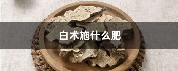 白术施什么肥