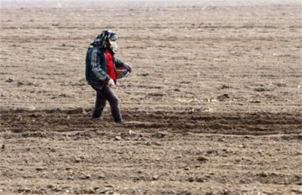 开春播种要注意什么？