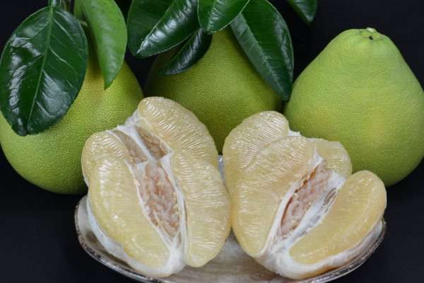 文旦和柚子的区别？是什么？