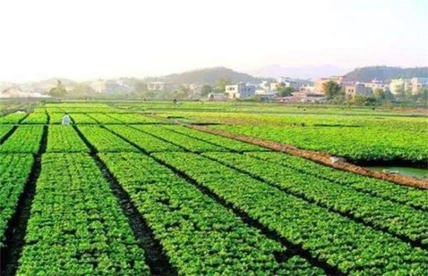 农业模式发展趋势