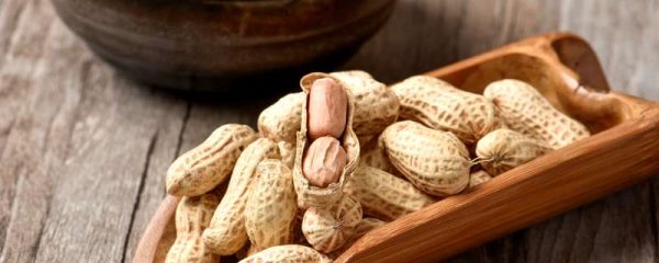 花生是坚果吗？