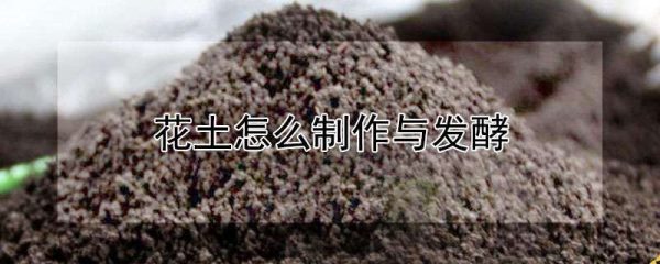 花土怎么制作与发酵