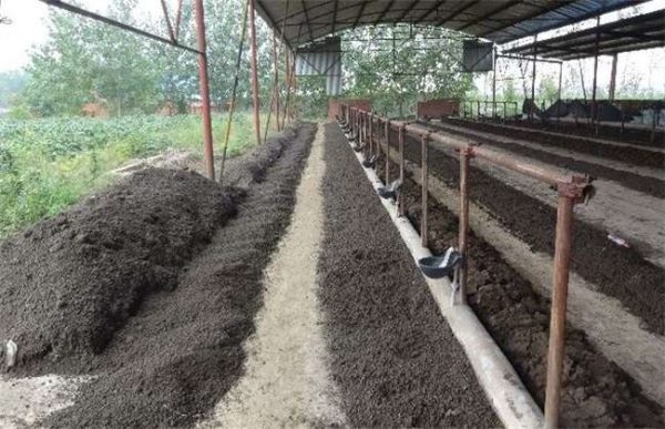 蚯蚓的销售渠道有哪些？