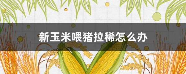 新玉米喂猪拉稀怎么办？