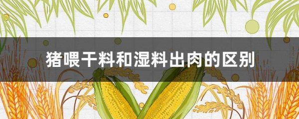 猪喂干料和湿料出肉的区别？