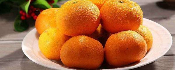 蜜柑和橘子有什么区别