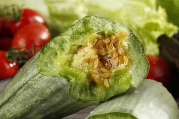 羊角蜜几月份成熟