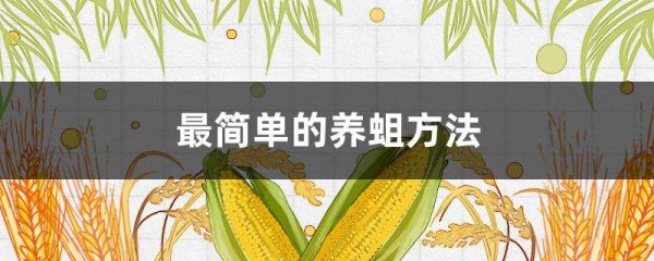 最简单的养蛆多久？