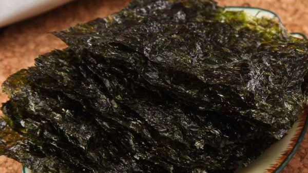 海苔是紫菜吗