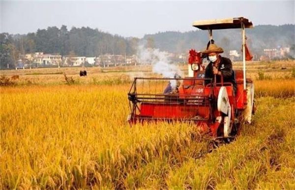 未来的农业模式会怎么发展