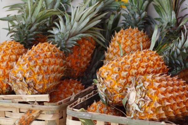 菠萝和凤梨的区别？