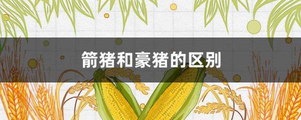 箭猪和豪猪的区别？