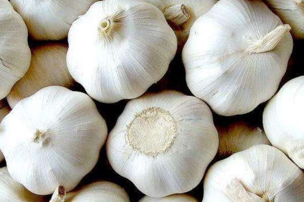 大蒜怎么种植方法