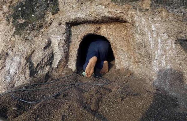 葡萄采后该怎么贮藏