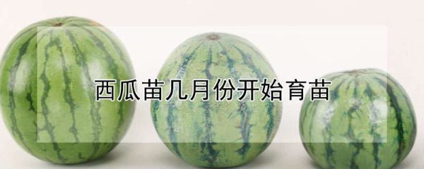 西瓜苗几月份开始育苗