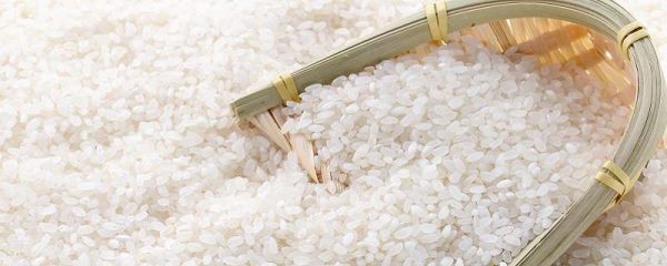 大米生虫怎么办？